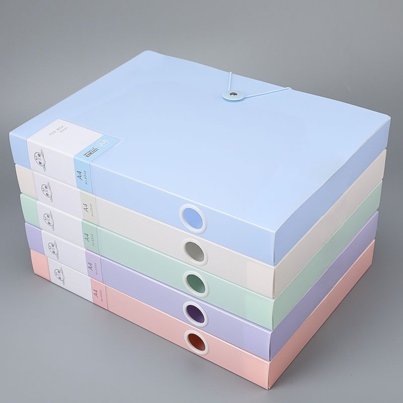5pcs Morandi Color A4 File Organizer Box Dustproof Document Case 5 Color File Paper Organizer For Personnel Division