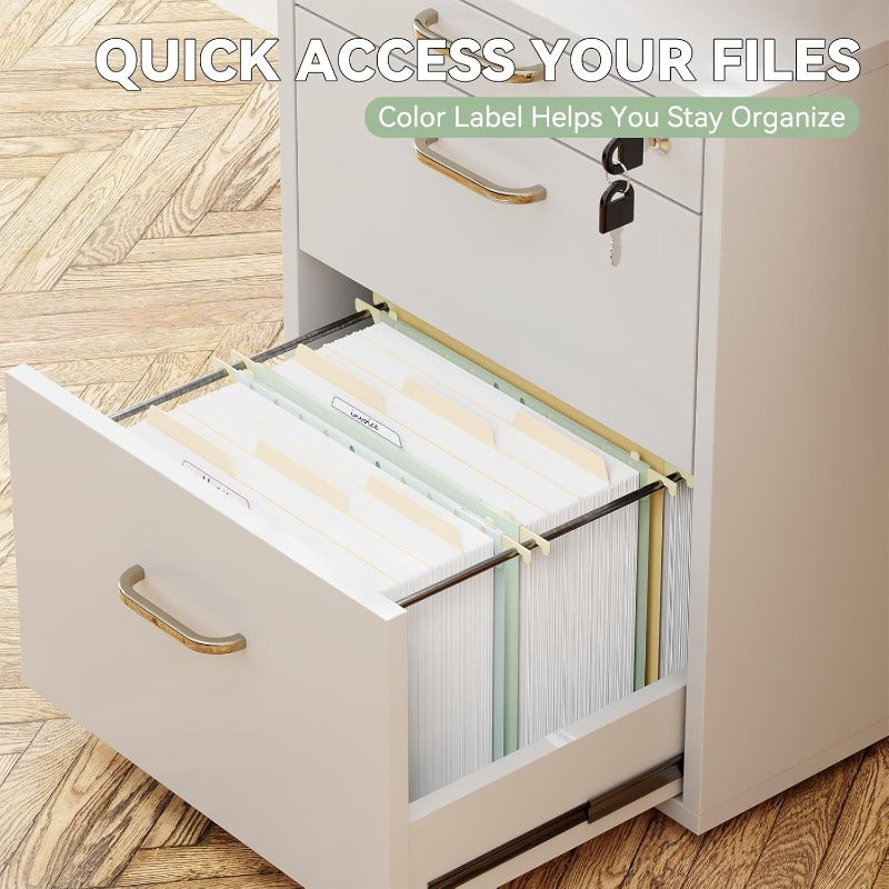 6 Pack Heavy-Duty Plastic Hanging File Folders with 4\